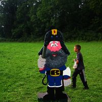 253