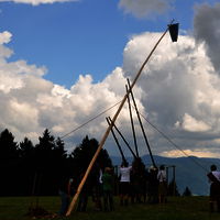 Bild  11