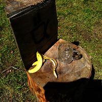 Zeltager 2017  223