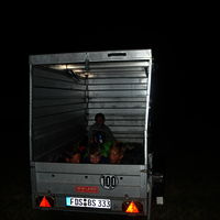 Zeltlager 2016  211