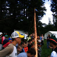 Bild  11