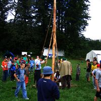 Bild  12