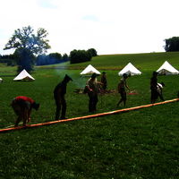 Bild  5