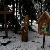 IMG 0730