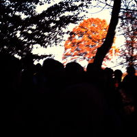PICT0020