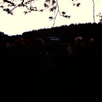 PICT0005