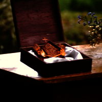 PICT0013
