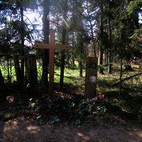 IMG 0011
