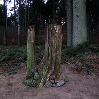 IMG 0075