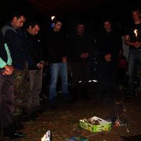 Bild  259