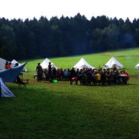 Bild  266
