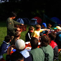 Bild  267
