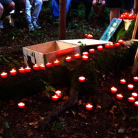 Bild  94