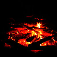 Bild  98