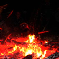 Bild  99