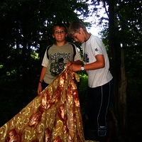 Bild  71