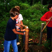Bild  73
