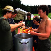 Bild  61