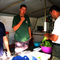 Bild  203