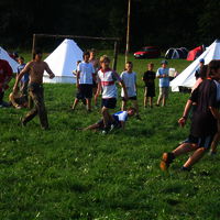 Bild  206