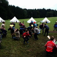 Bild  221