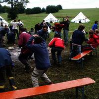 Bild  222