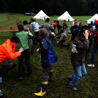 Bild  224