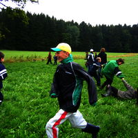 Bild  35