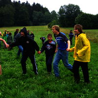 Bild  36