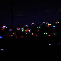 6  33