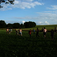 Bild  211