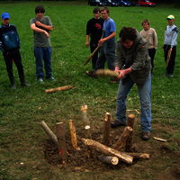 Bild  229