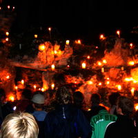 Bild  240