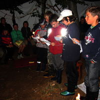 Bild  247