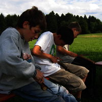 Bild  183