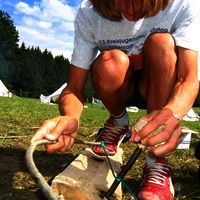 Bild  186