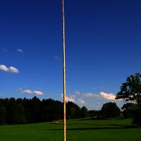 50
